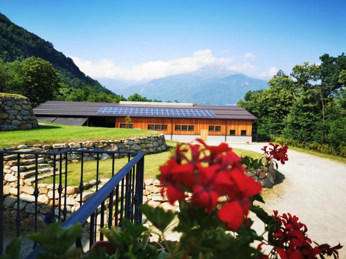 Agriturismo La Ca' D'Amelio Lessolo エクステリア 写真